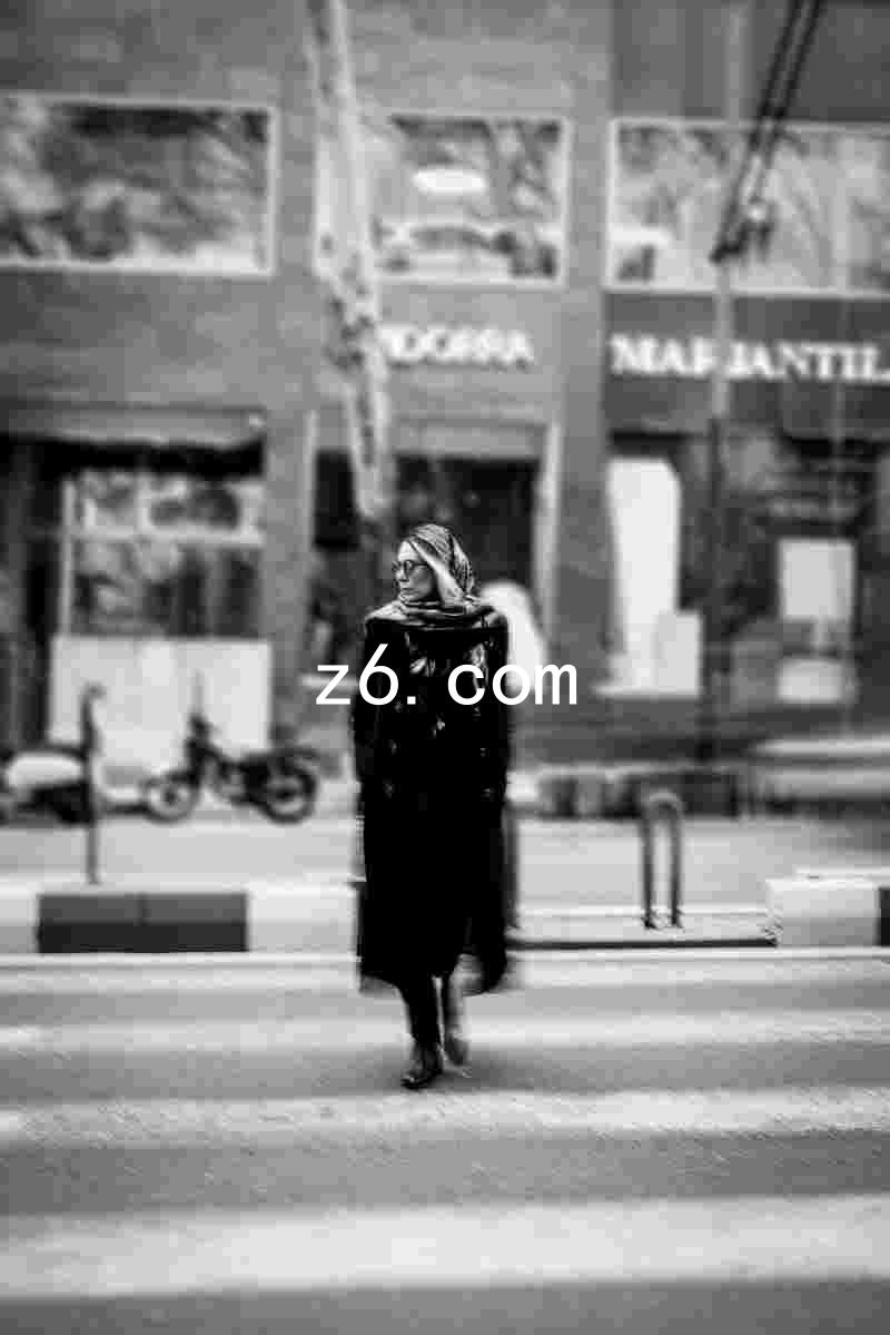 z6.com