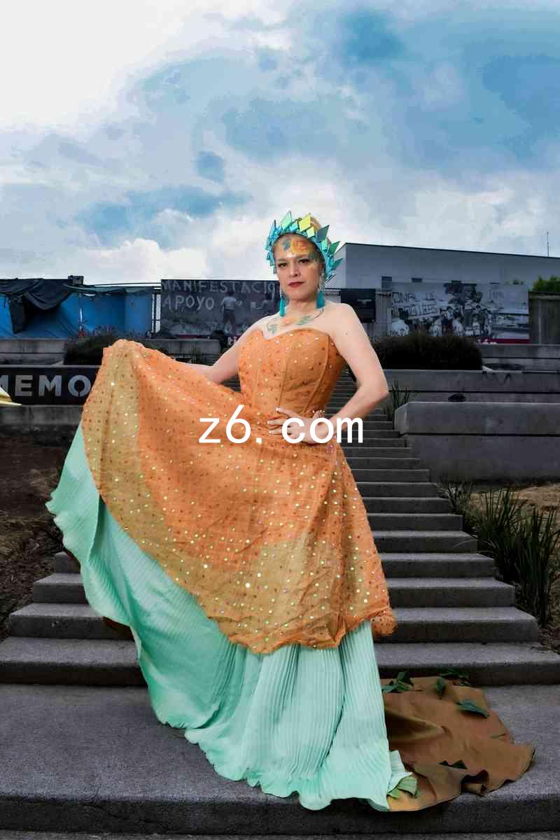 z6.com